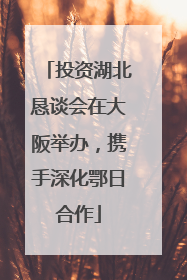 投资湖北恳谈会在大阪举办，携手深化鄂日合作