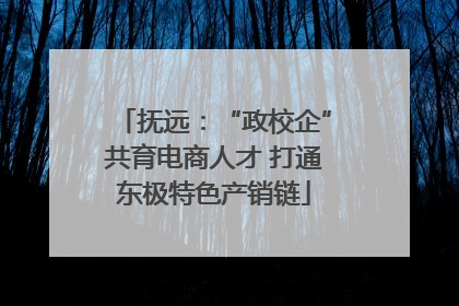 抚远：“政校企”共育电商人才 打通东极特色产销链