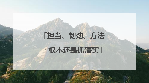 担当、韧劲、方法：根本还是抓落实