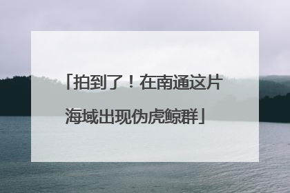 拍到了！在南通这片海域出现伪虎鲸群