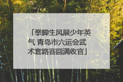 拳脚生风展少年英气 青岛市六运会武术套路赛圆满收官