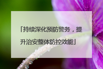持续深化预防警务，提升治安整体防控效能