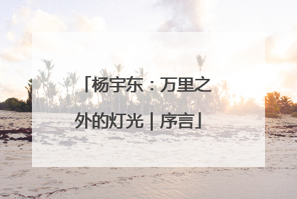 杨宇东：万里之外的灯光｜序言