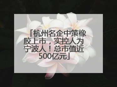 杭州名企中策橡胶上市，实控人为宁波人！总市值近500亿元