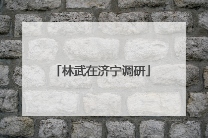 林武在济宁调研