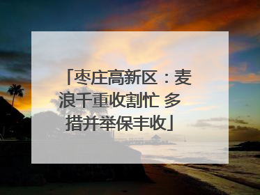 枣庄高新区：麦浪千重收割忙 多措并举保丰收