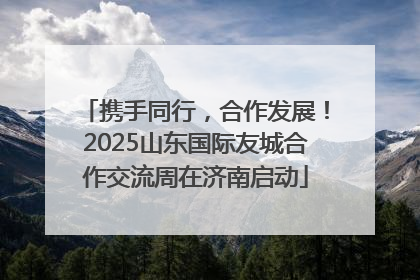 携手同行，合作发展！2025山东国际友城合作交流周在济南启动