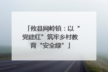 攸县网岭镇：以“党建红”筑牢乡村教育“安全绿”
