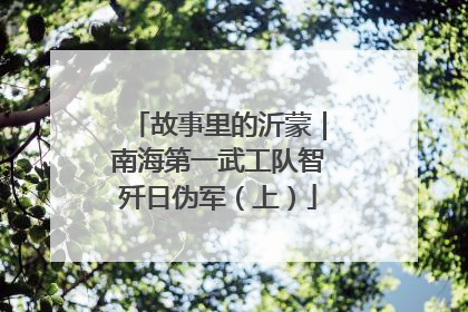 故事里的沂蒙｜南海第一武工队智歼日伪军（上）