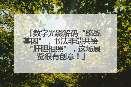 数字光影解码“统战基因”，书法非遗共绘“肝胆相照”，这场展览很有创意！