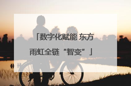 数字化赋能 东方雨虹全链“智变”