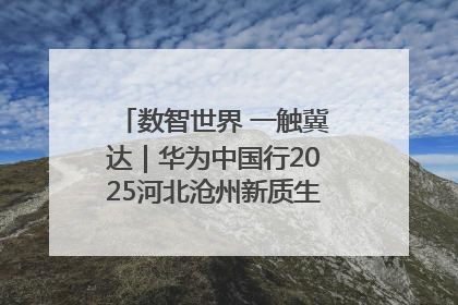 数智世界 一触冀达｜华为中国行2025河北沧州新质生产力峰会成功举办