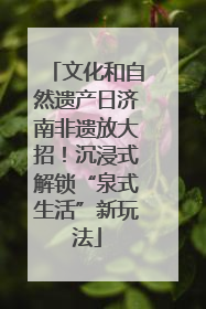 文化和自然遗产日济南非遗放大招！沉浸式解锁“泉式生活”新玩法