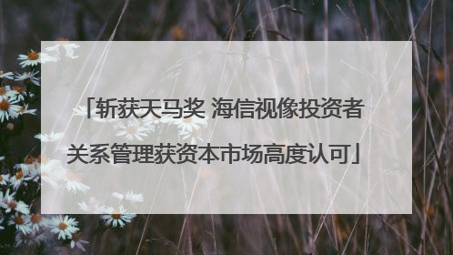 斩获天马奖 海信视像投资者关系管理获资本市场高度认可