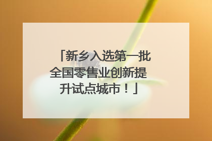 新乡入选第一批全国零售业创新提升试点城市！