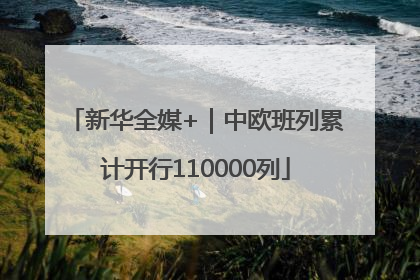 新华全媒+｜中欧班列累计开行110000列