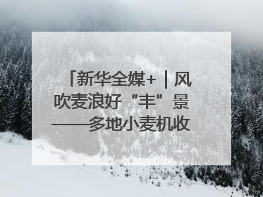 新华全媒+｜风吹麦浪好“丰”景——多地小麦机收一线见闻