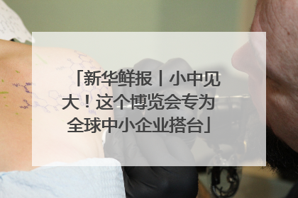 新华鲜报丨小中见大！这个博览会专为全球中小企业搭台