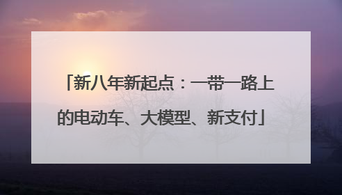 新八年新起点：一带一路上的电动车、大模型、新支付