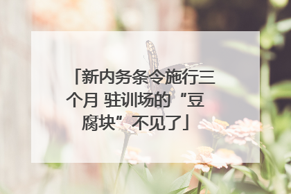 新内务条令施行三个月 驻训场的“豆腐块”不见了