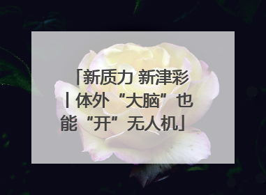 新质力 新津彩丨体外“大脑”也能“开”无人机