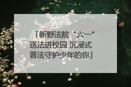 新野法院“六一”送法进校园 沉浸式普法守护少年的你