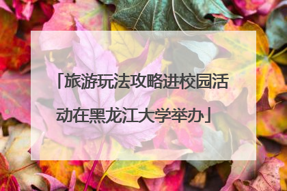 旅游玩法攻略进校园活动在黑龙江大学举办