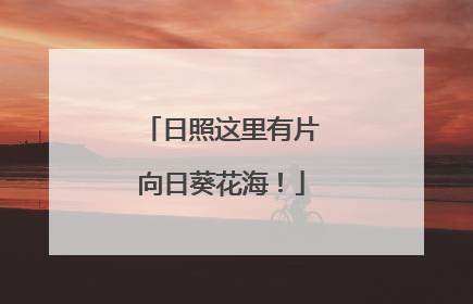日照这里有片向日葵花海！