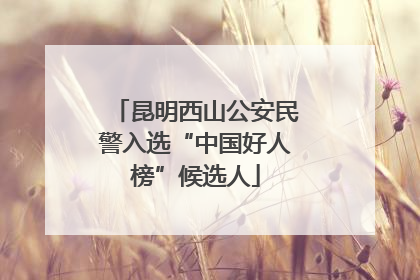昆明西山公安民警入选“中国好人榜”候选人