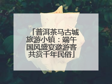 普洱茶马古城旅游小镇：端午国风盛宴邀游客共赏千年民俗