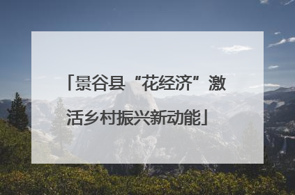 景谷县“花经济”激活乡村振兴新动能