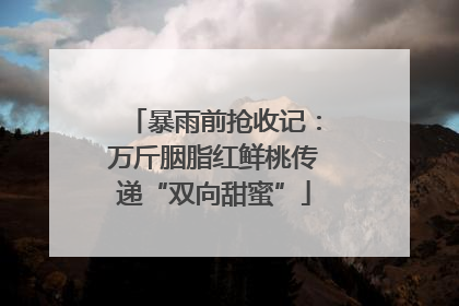 暴雨前抢收记：万斤胭脂红鲜桃传递“双向甜蜜”