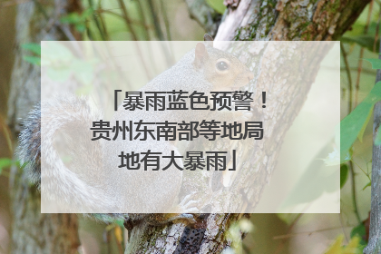 暴雨蓝色预警！贵州东南部等地局地有大暴雨