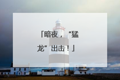 暗夜，“猛龙”出击！