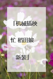 机械插秧忙 稻田披新装