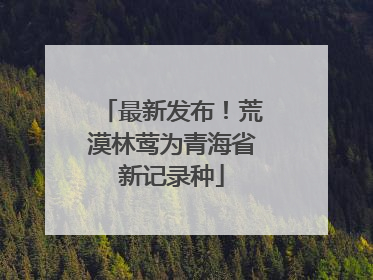 最新发布！荒漠林莺为青海省新记录种