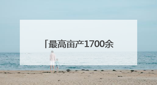 最高亩产1700余斤！东明县刘楼镇：高标准农田增效增收