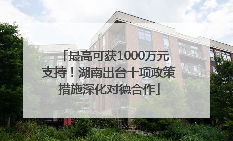 最高可获1000万元支持！湖南出台十项政策措施深化对德合作
