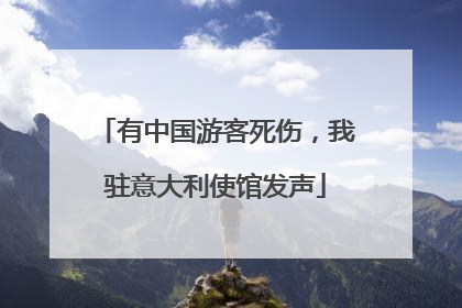 有中国游客死伤，我驻意大利使馆发声