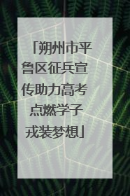 朔州市平鲁区征兵宣传助力高考 点燃学子戎装梦想