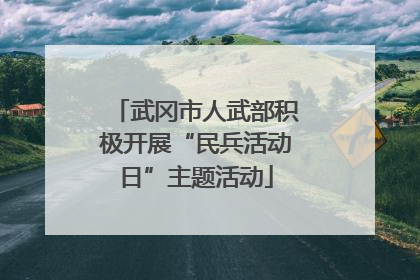 武冈市人武部积极开展“民兵活动日”主题活动
