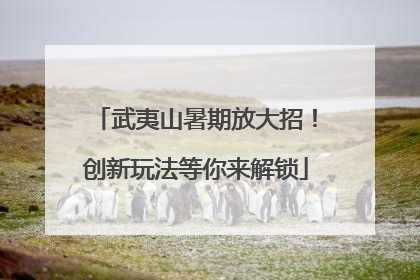 武夷山暑期放大招！创新玩法等你来解锁