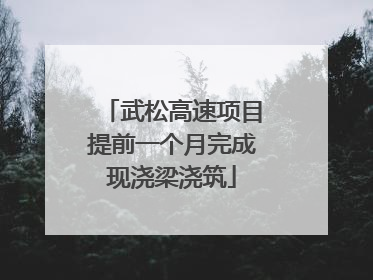 武松高速项目提前一个月完成现浇梁浇筑