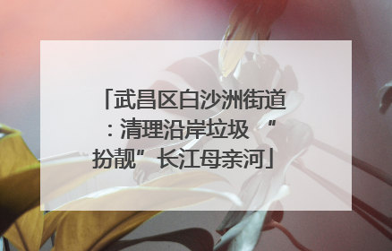 武昌区白沙洲街道：清理沿岸垃圾 “扮靓”长江母亲河