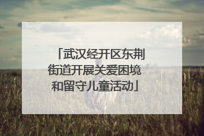 武汉经开区东荆街道开展关爱困境和留守儿童活动