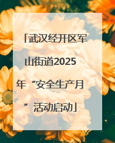 武汉经开区军山街道2025年“安全生产月”活动启动