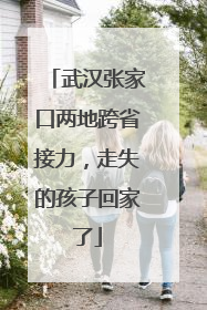 武汉张家口两地跨省接力，走失的孩子回家了