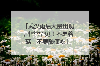 武汉雨后大量出现，非常罕见！不是蘑菇，不要随便吃