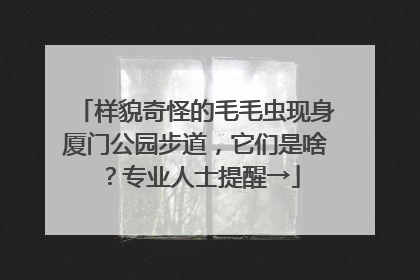 样貌奇怪的毛毛虫现身厦门公园步道，它们是啥？专业人士提醒→