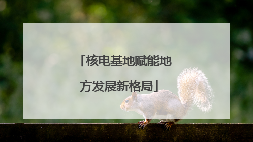 核电基地赋能地方发展新格局